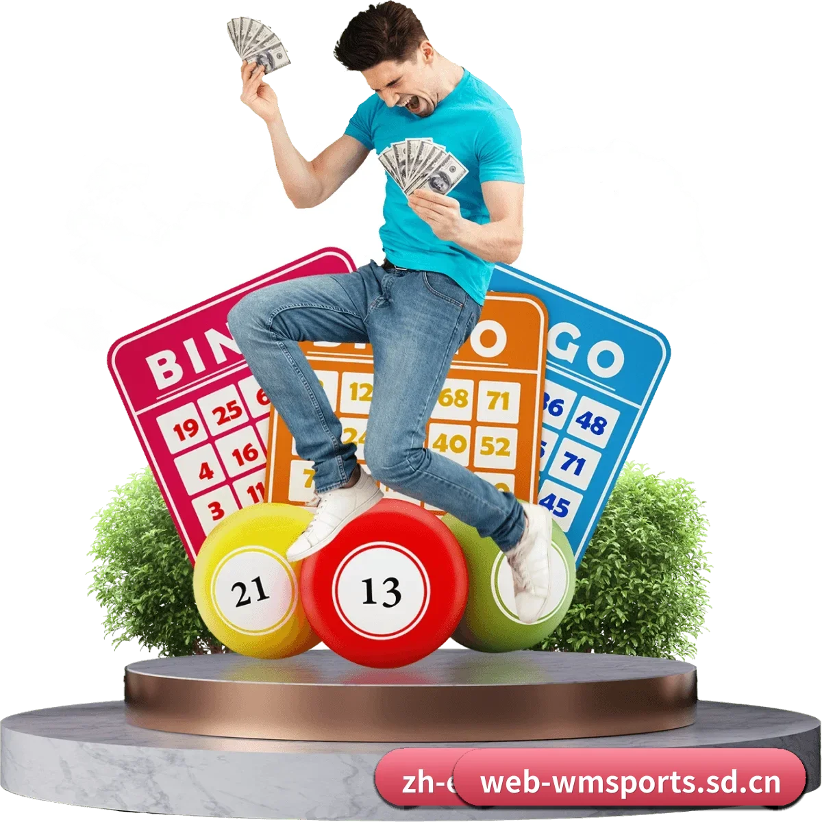完美体育平台 APP 界面